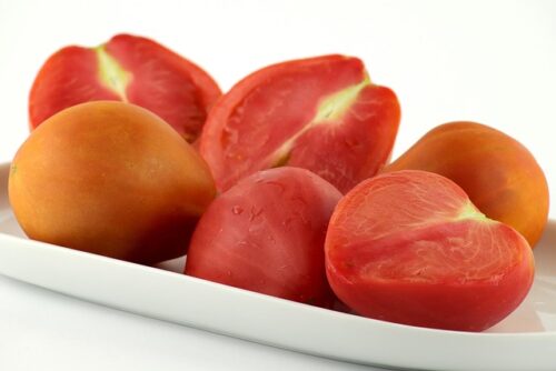 Ako a kedy vysiať semená paradajok